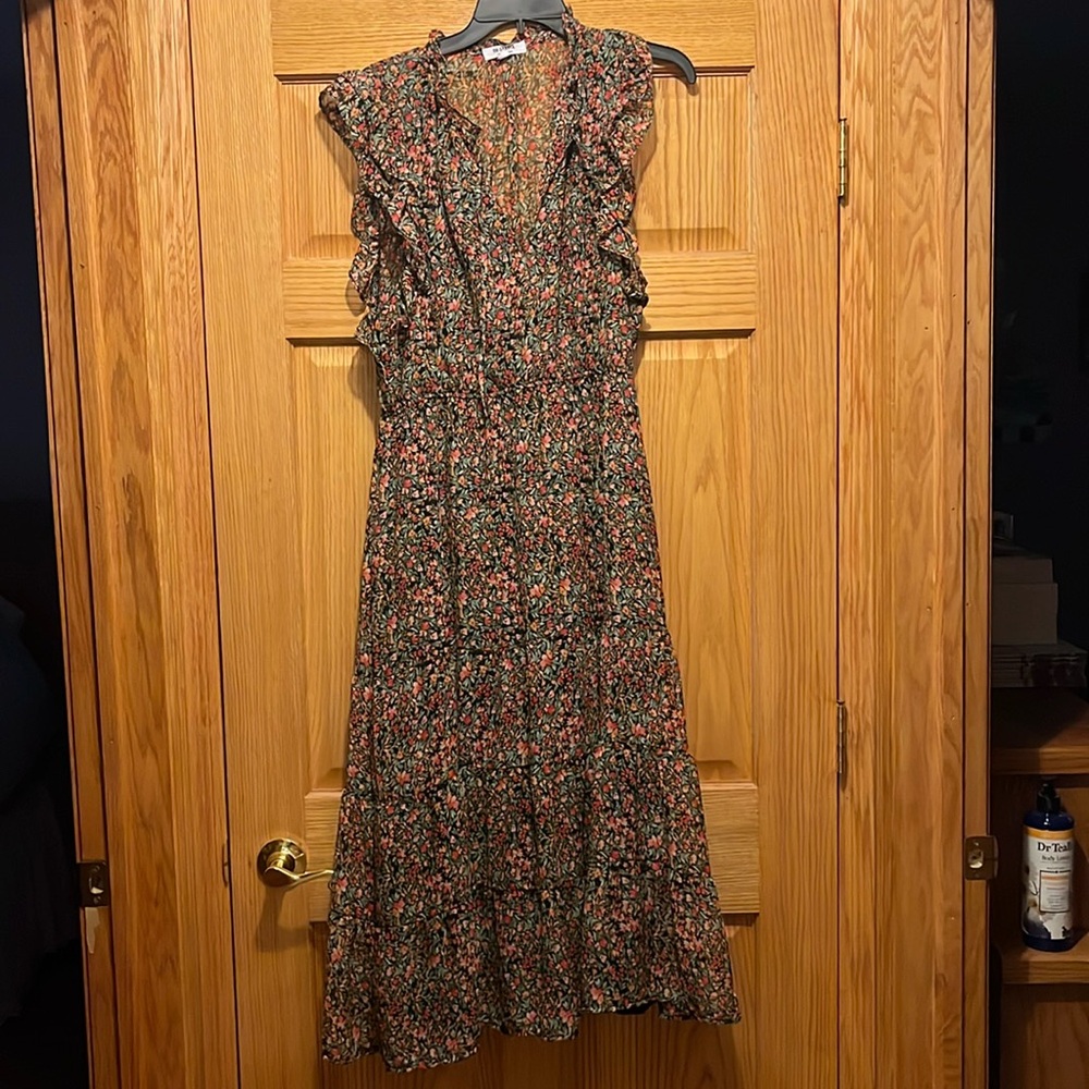 BB Dakota , Steve Madden pretty dress